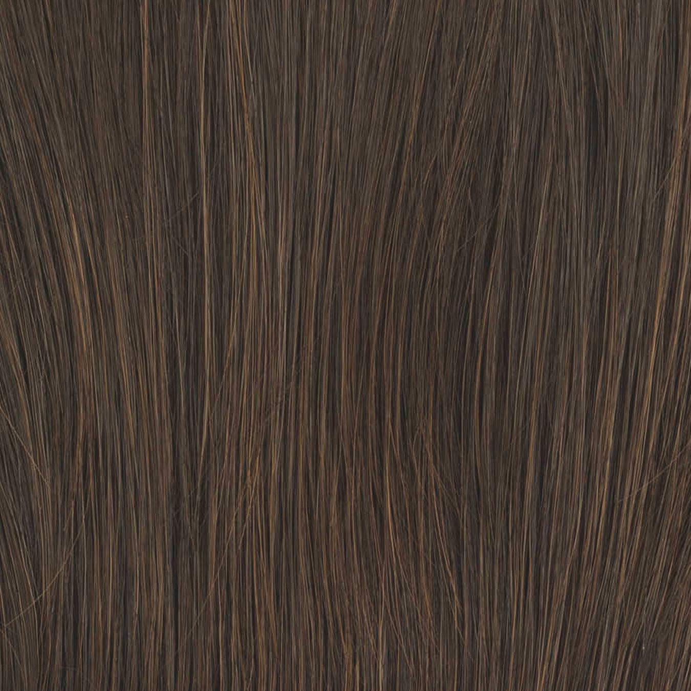 Raquel Welch Big Time Wig Hairpiece