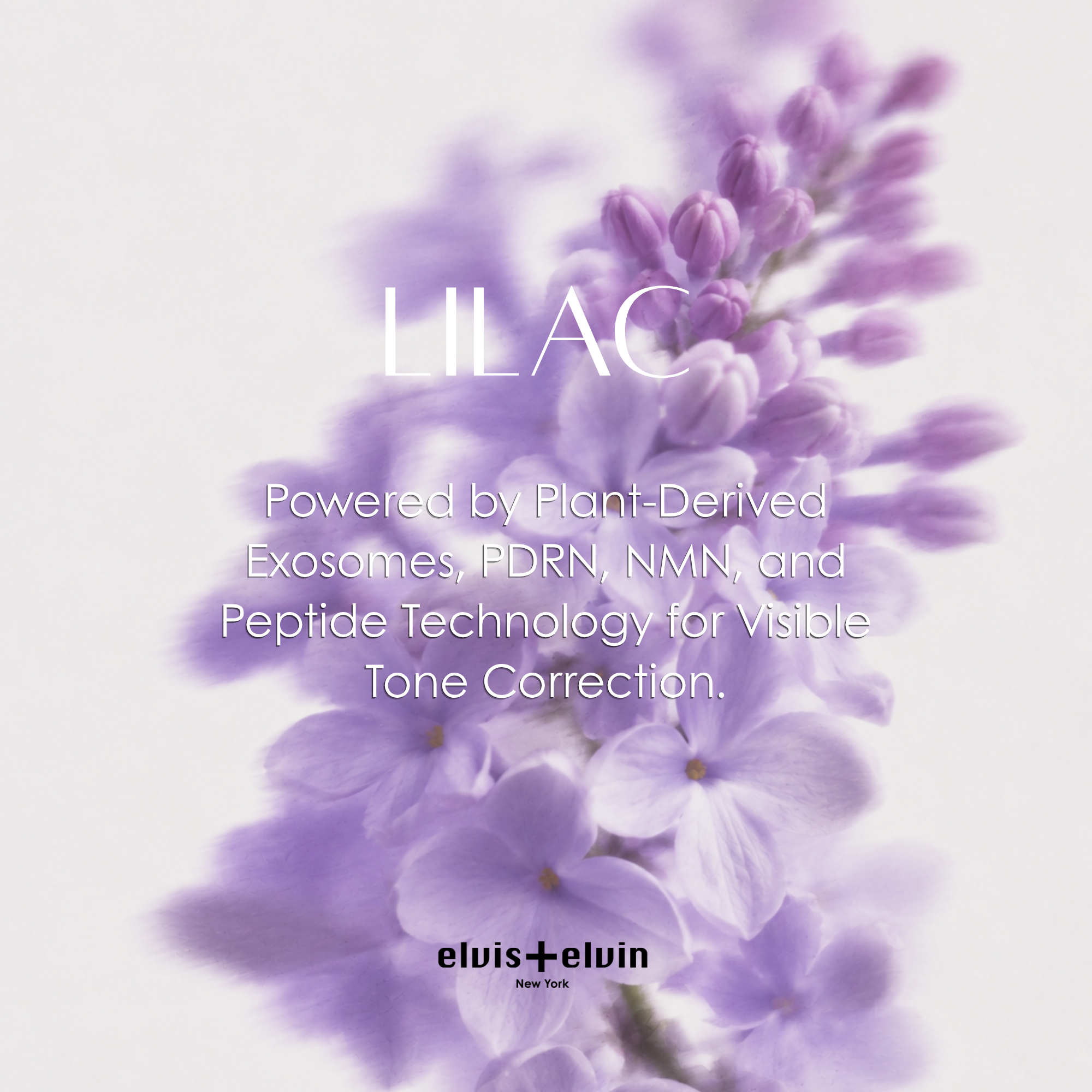 Lilac Spot Correcting Cream