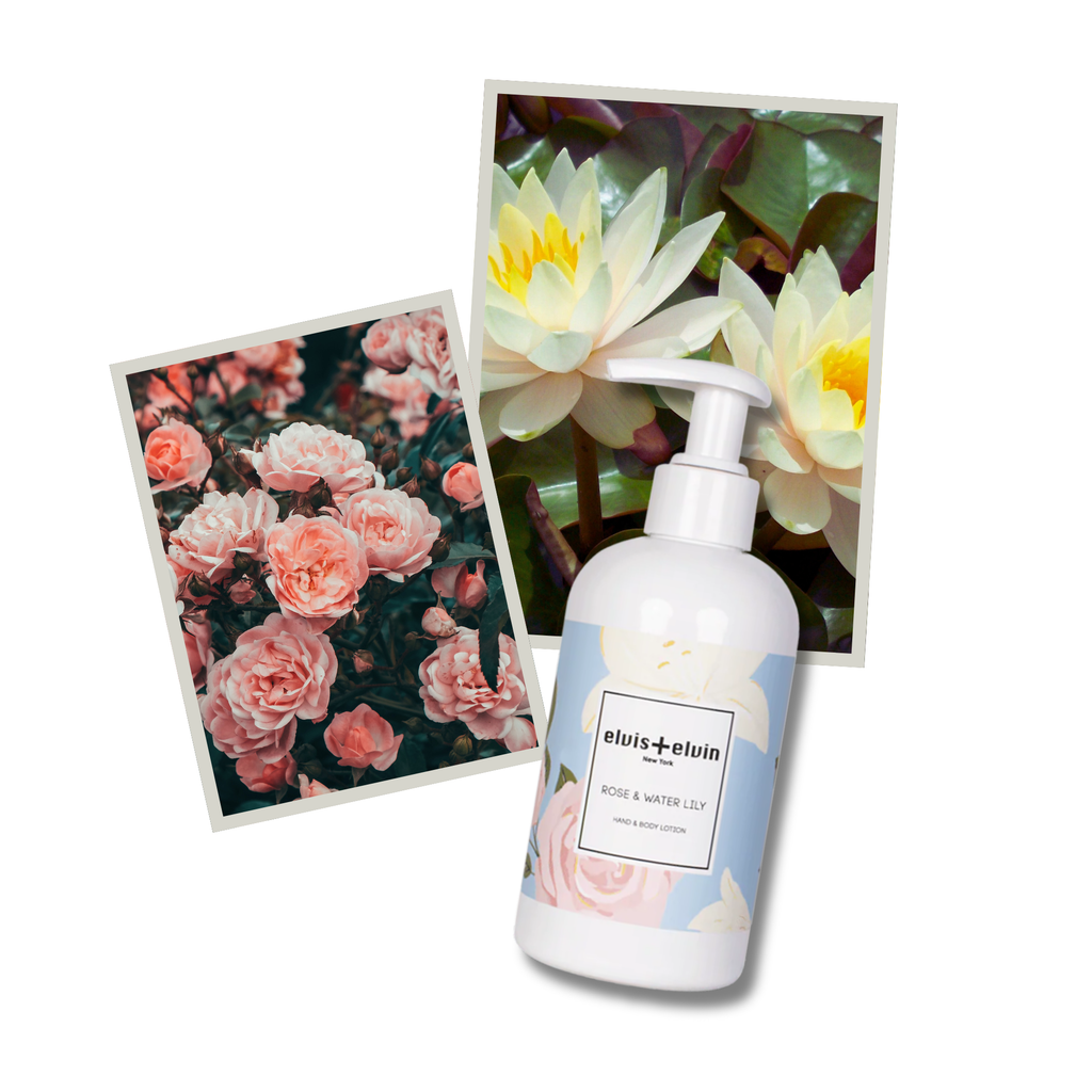 Rose & Water Lily  Hand & Body Lotion
