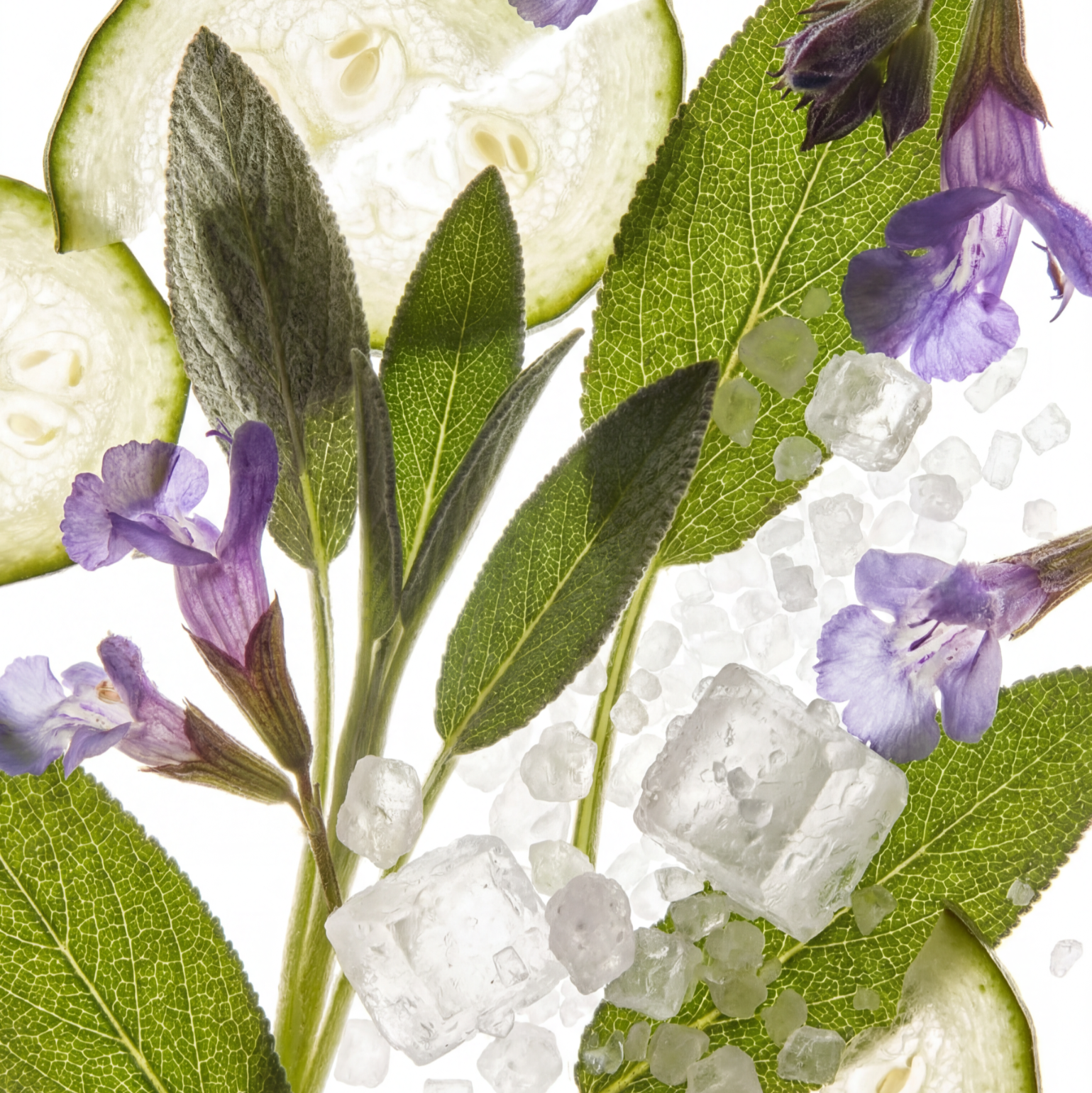 Sage & Sea Salt Eau de Parfum