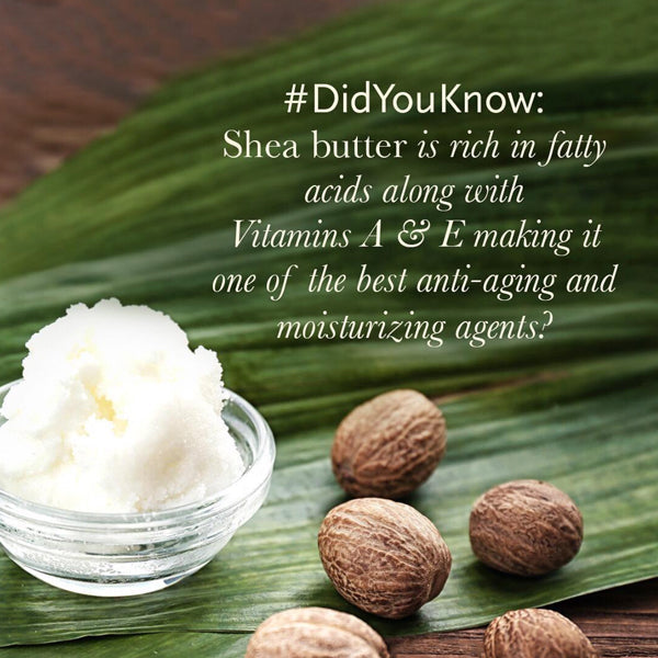 Body Lotion (Rose Scent)-  Nourish Dry Skin, Non-Greasy -Daily Moisturizing
