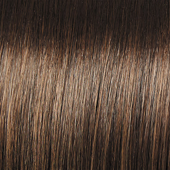 Raquel Welch Click, Click, Flash Wig, SS8/12 Shaded Iced Mocha