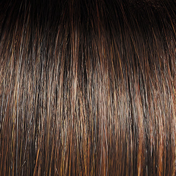 Raquel Welch Big Spender Wig, SS8/29 Shaded Hazelnut