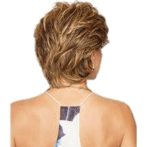 Short layered wig shown from the back on a model, featuring a blend of light brown and golden blonde highlights, against a plain white background.