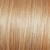 Gabor Glamorize Always Wig, GF14-88 Golden Wheat