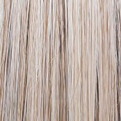 Raquel Welch Black Tie Chic Wig, SS19/23 SS Biscuit